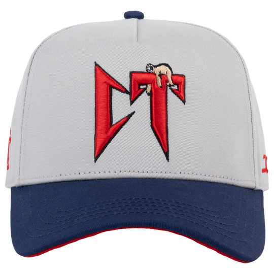 CT GRAY/NAVY