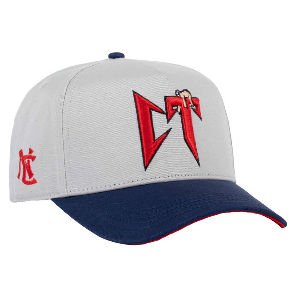 CT GRAY/NAVY