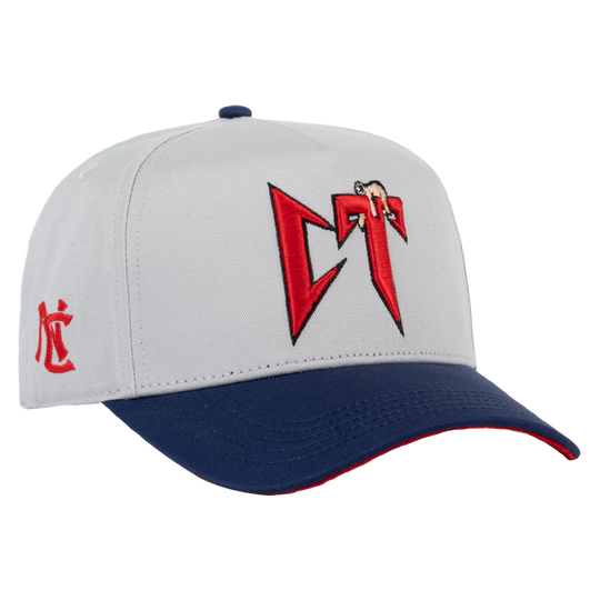 CT GRAY/NAVY