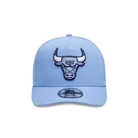 CHICAGO BULLS SKY BLUE SHOE HOOK
