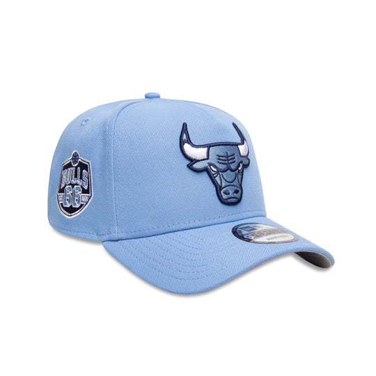 CHICAGO BULLS SKY BLUE SHOE HOOK