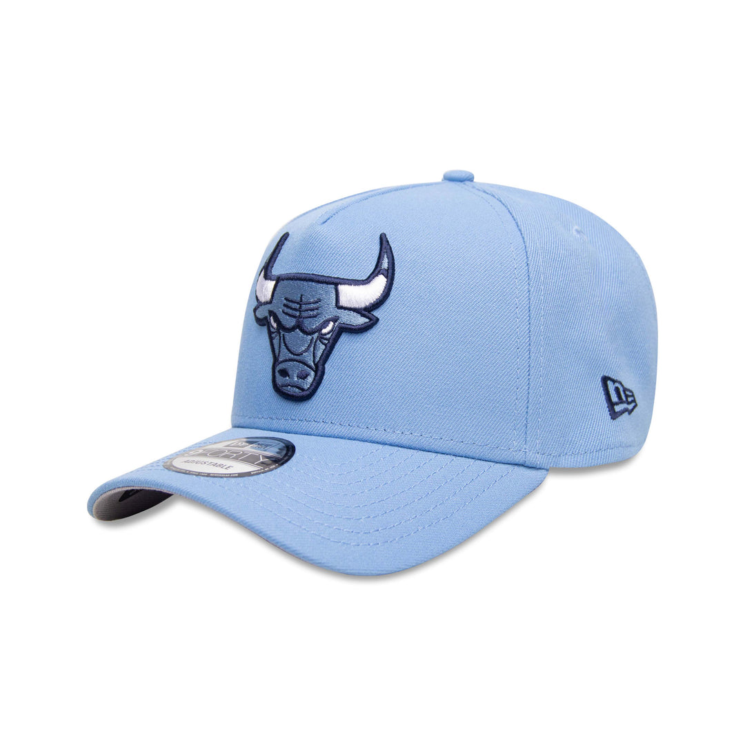 CHICAGO BULLS SKY BLUE SHOE HOOK