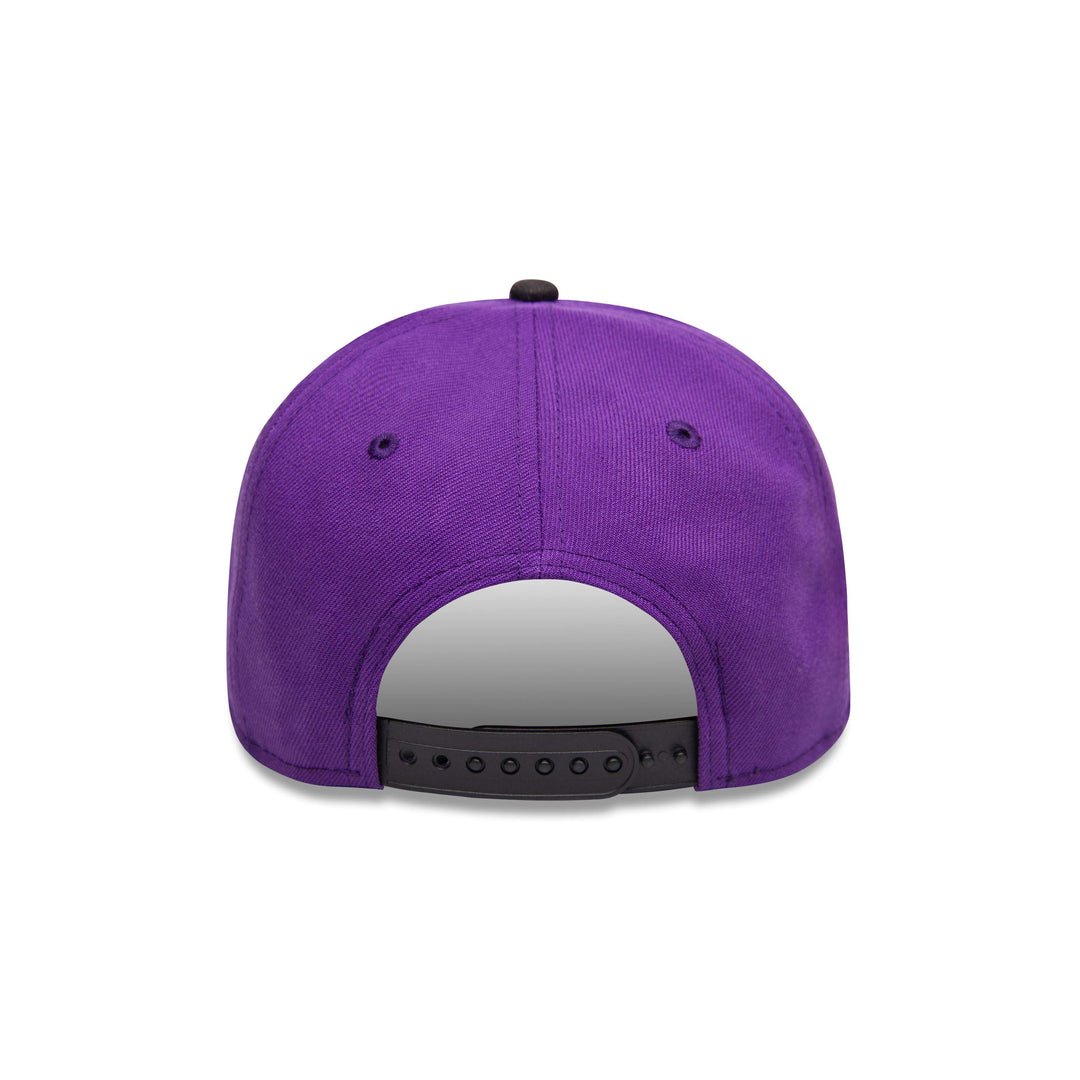 COLORADO ROCKIES CROWNED AFRAME