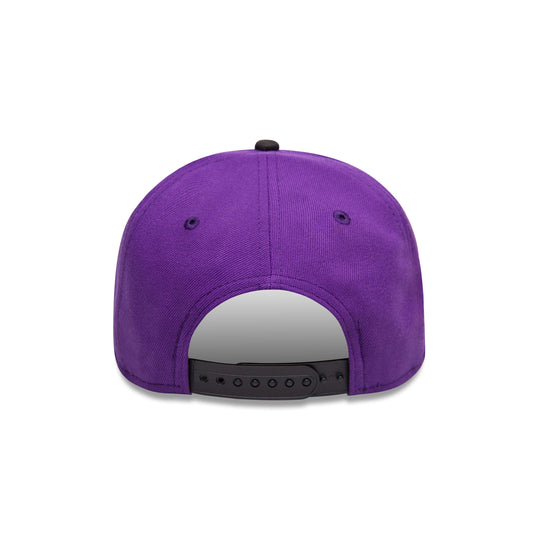 COLORADO ROCKIES CROWNED AFRAME