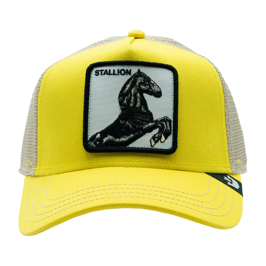 GOORIN BROS THE STALLION YELLOW