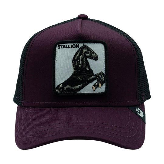 GOORIN BROS THE STALLION WINE