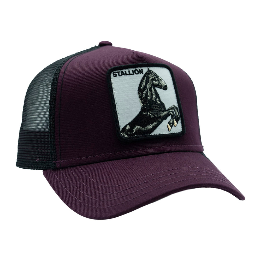 GOORIN BROS THE STALLION WINE